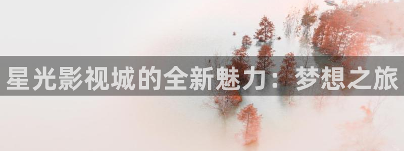 久久嫩草视频