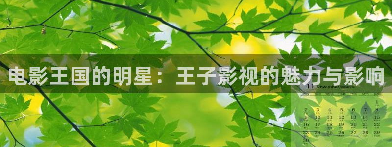 嫩草影院精品91影院