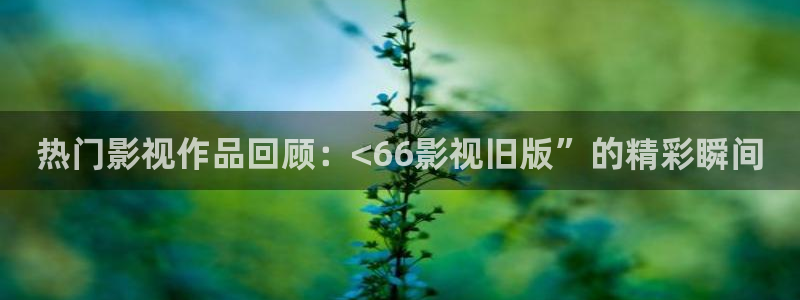 嫩草影院在线一二三